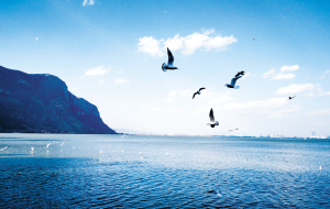 30891612204147366 30891612204147366