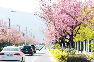 46101612204147350 46101612204147350