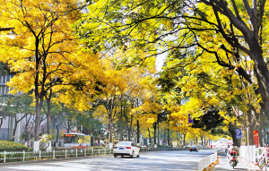 63711612204147350 63711612204147350